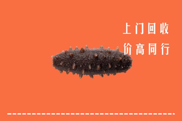 昌吉回收海参